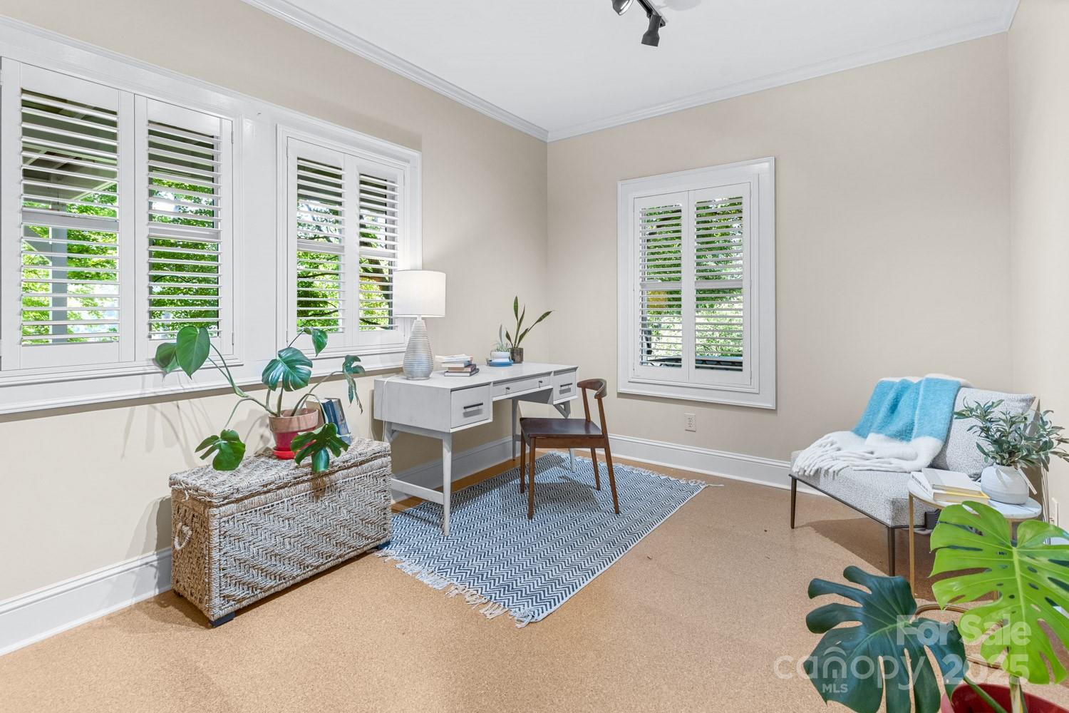 101 Windsor Road Asheville, NC 28804 - Photo 25 of 45 Gallery Image 25