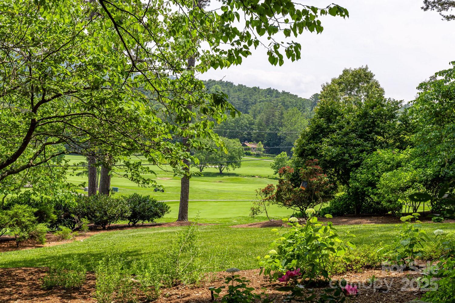 101 Windsor Road Asheville, NC 28804 - Photo 39 of 45 Gallery Image 39