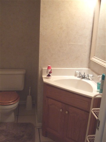 521 East University Drive Rochester, MI 48307 - Photo 21 of 23 31090561-20.JPG