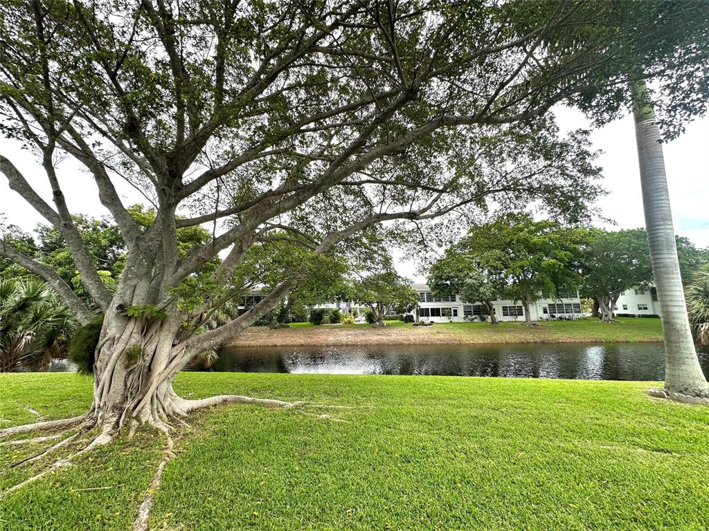 57 Markham C, Unit 57 Deerfield Beach, FL 33442 - Photo 1 of 76 a view of yard with green space and trees around