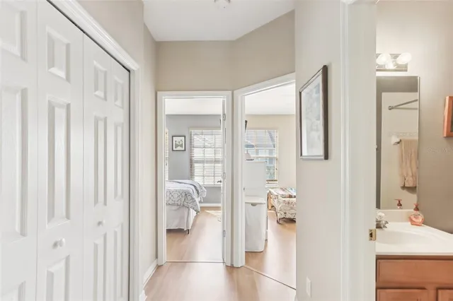 a view of a swimming pool with a garden and plants