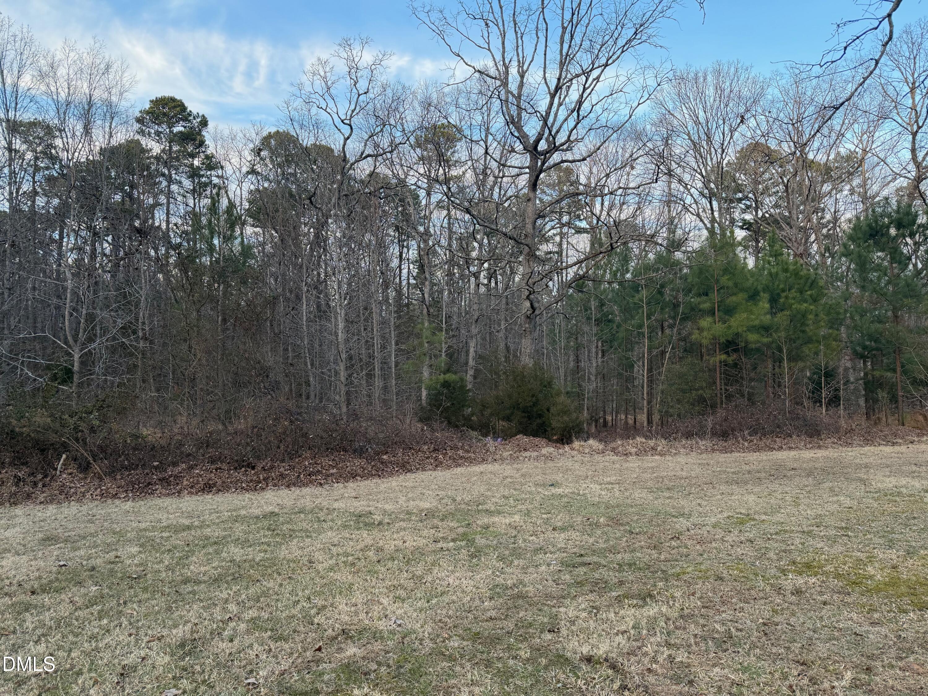 605 Snow Hill Road Durham, NC 27712 - Photo 5 of 5