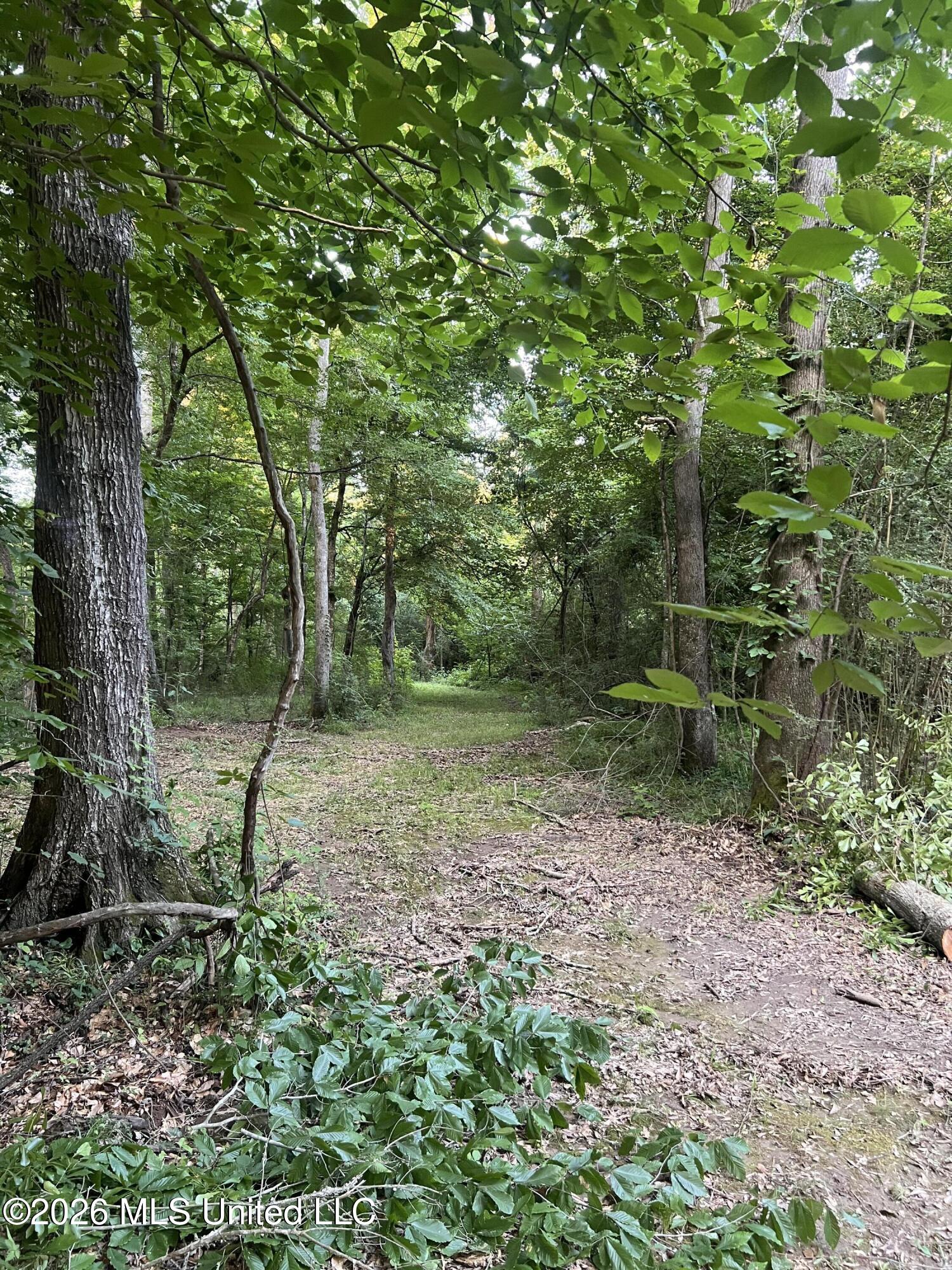 5734 Hebron Road Liberty, MS 39645 - Photo 27 of 32 28.