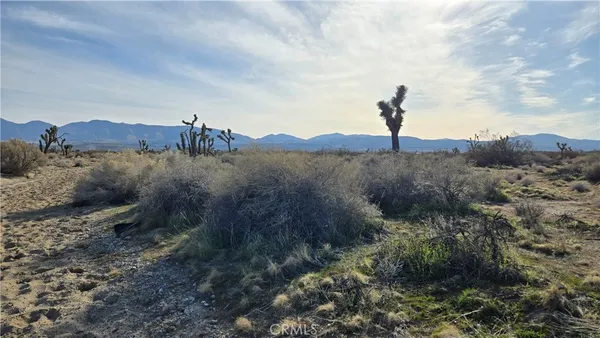 a view of a mountain in the distance in a field