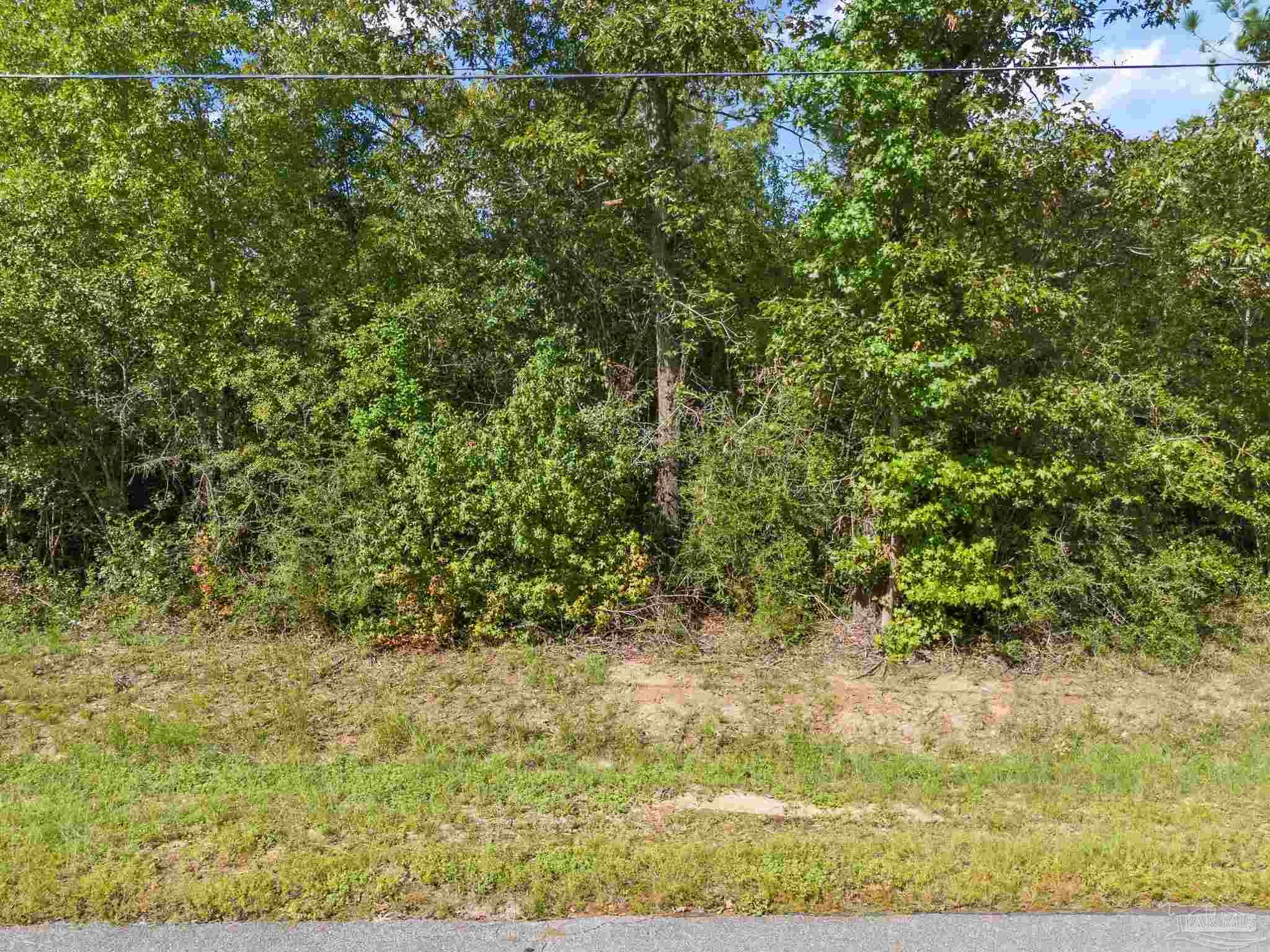 14 Sid Hayes Road Jay, FL 32565 - Photo 1 of 4 Gallery Image 1