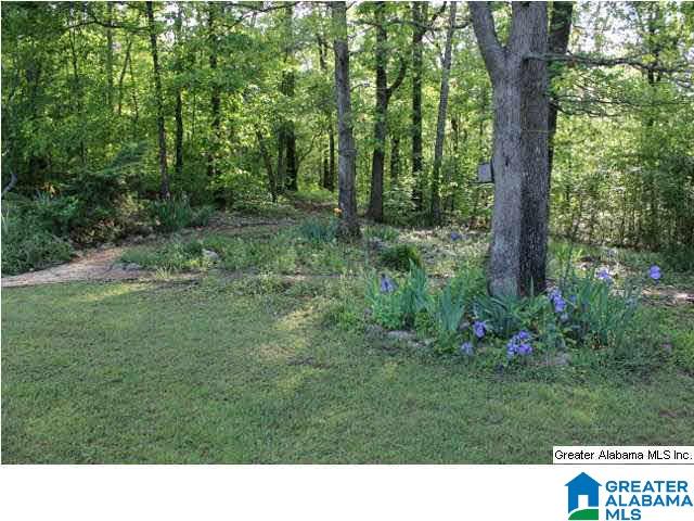 368 Deloach Road Childersburg, AL 35044 - Photo 14 of 15