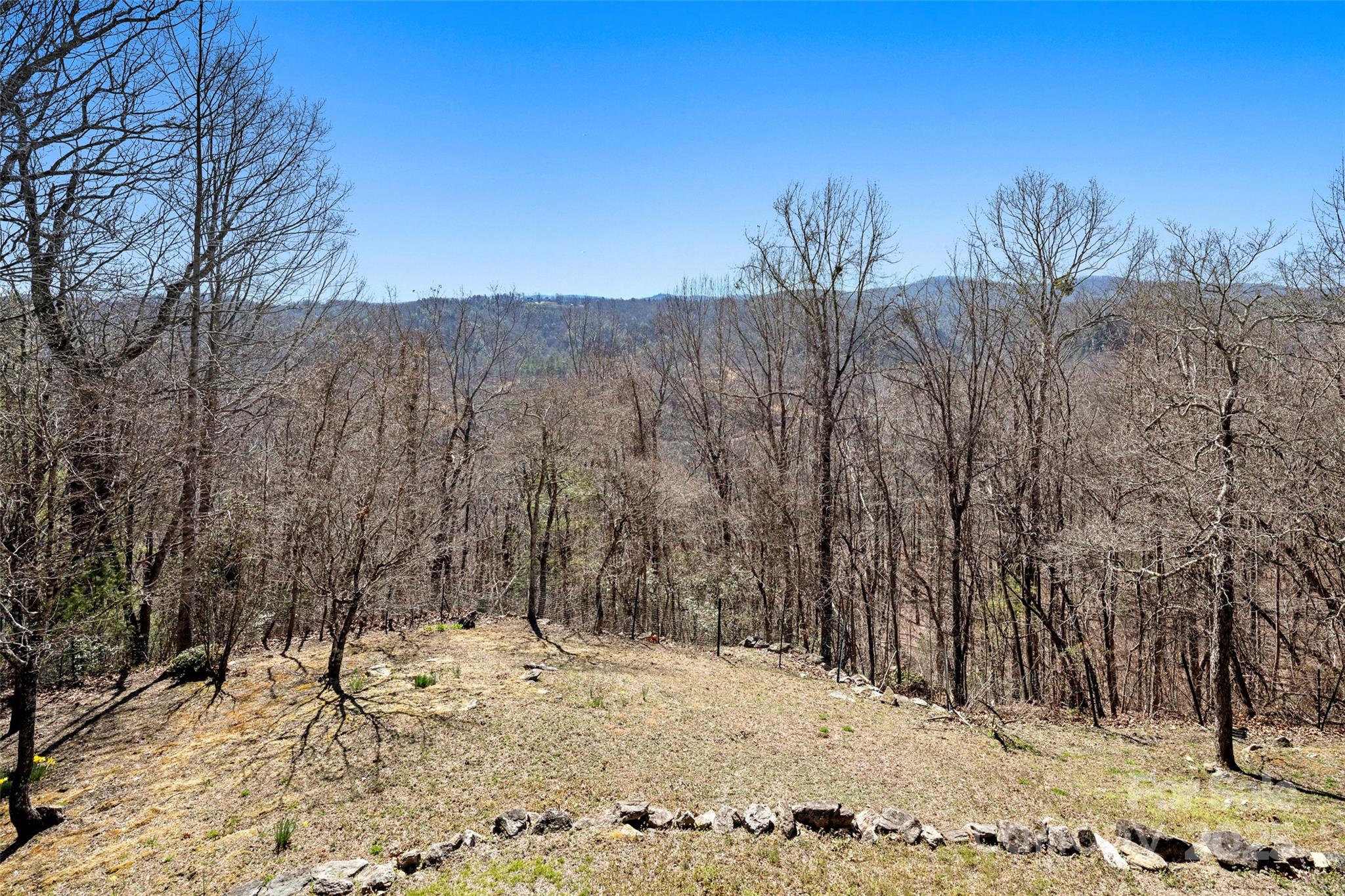 240 General Hill Road Flat Rock, NC 28731 - Photo 32 of 41