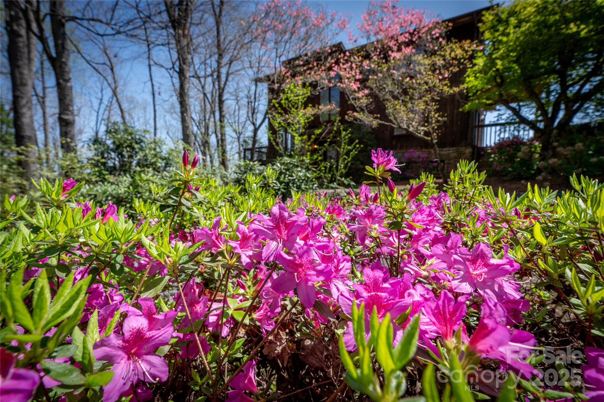 240 General Hill Road Flat Rock, NC 28731 - Photo 39 of 41