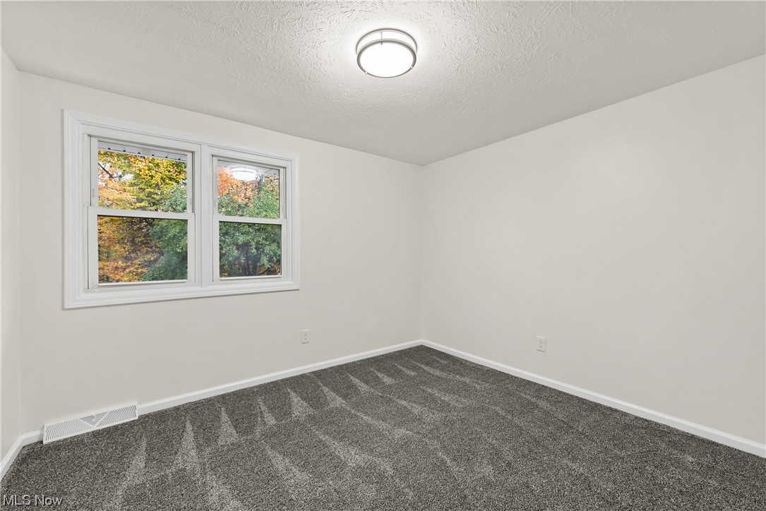 896 Beechers Brook Road Cleveland, OH 44143 - Photo 29 of 35 Unfurnished room featuring a textured ceiling and carpet