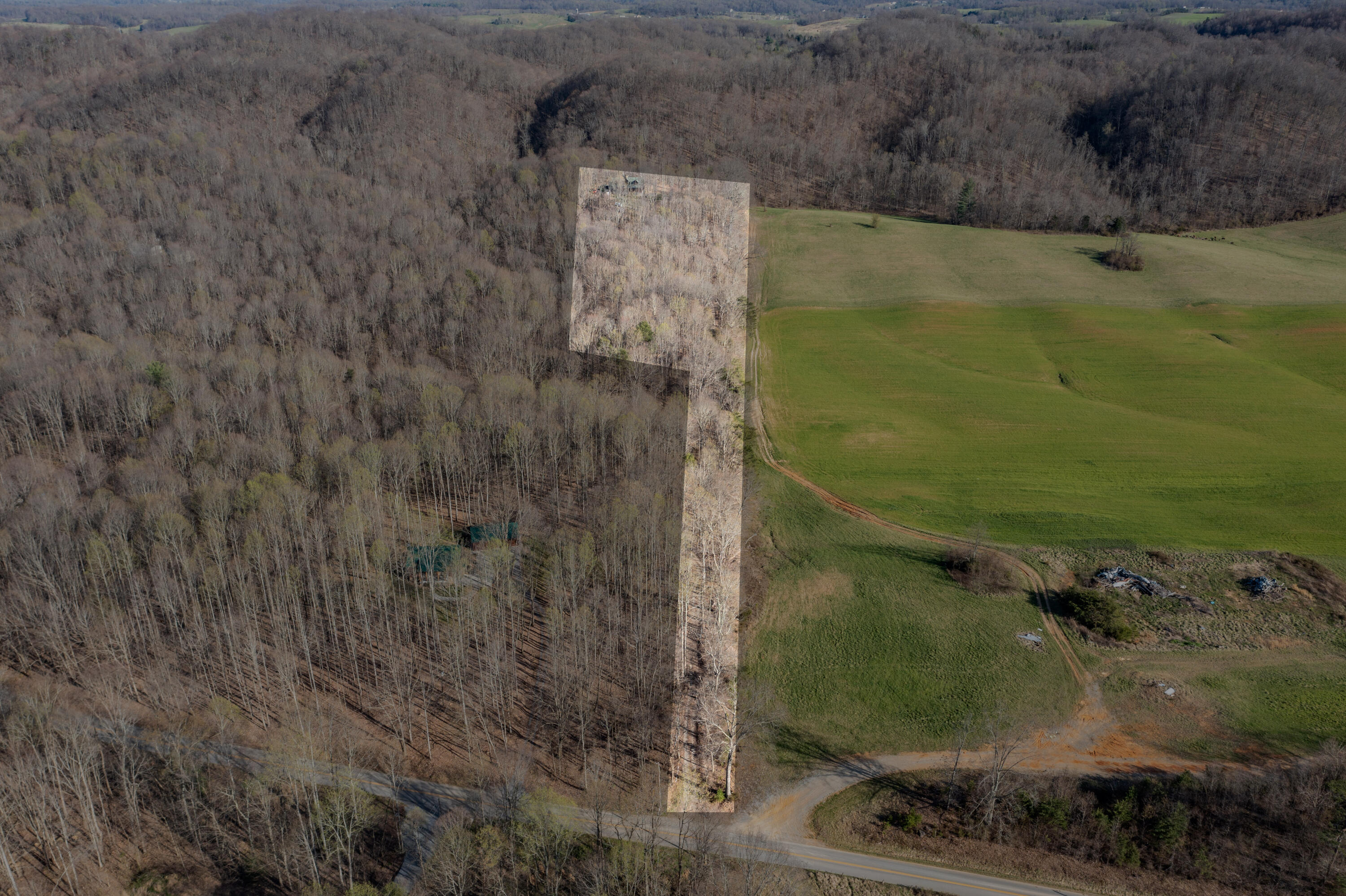 5730 Old Snapps Ferry Road Limestone, TN 37681 - Photo 36 of 49 Limestone-38