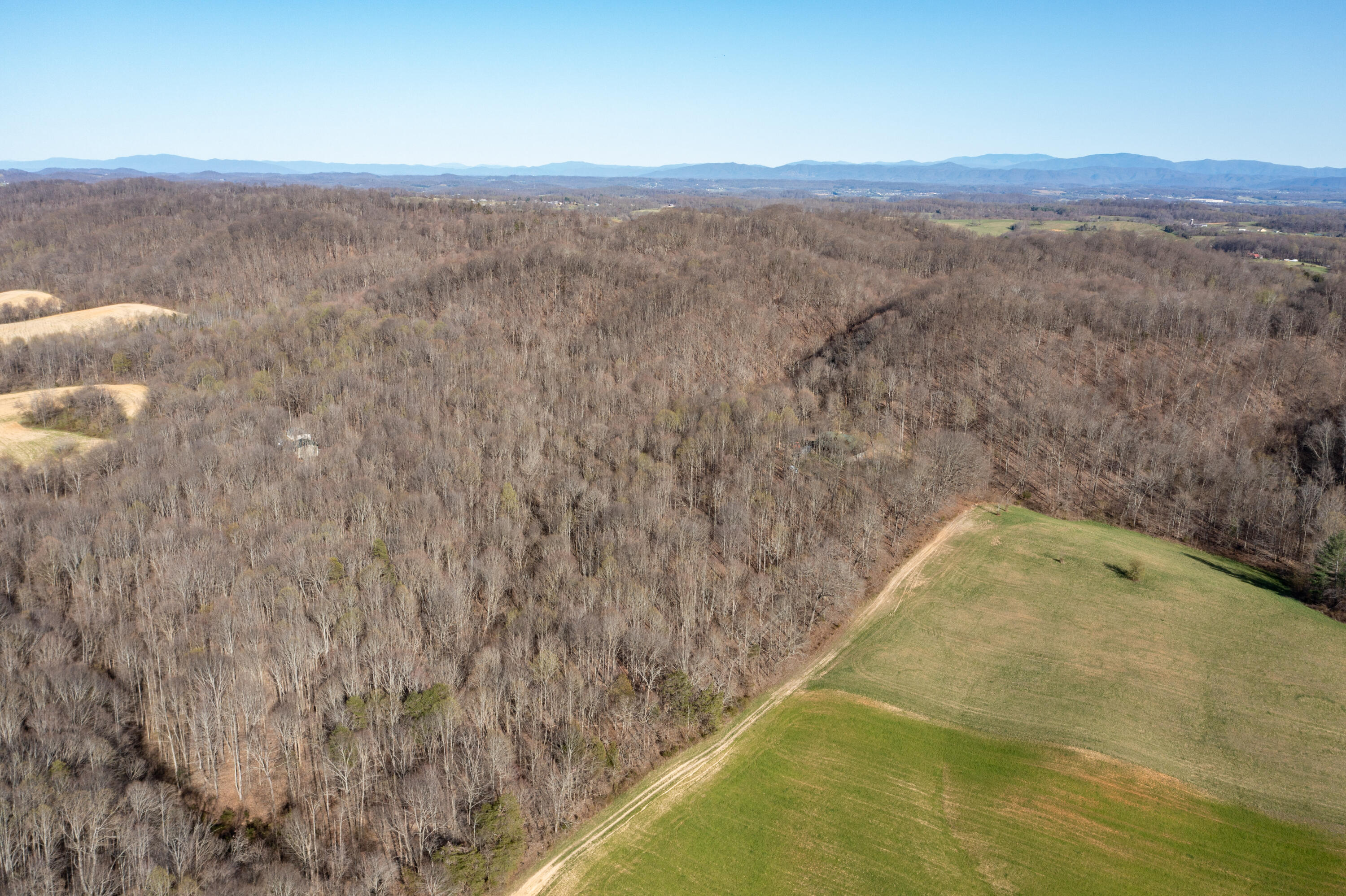 5730 Old Snapps Ferry Road Limestone, TN 37681 - Photo 40 of 49 Limestone-42