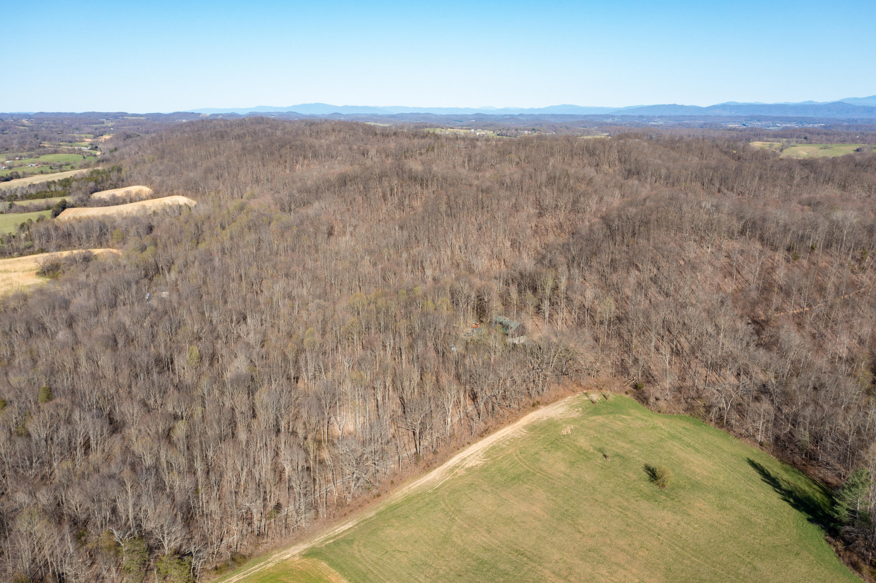 5730 Old Snapps Ferry Road Limestone, TN 37681 - Photo 42 of 49 Limestone-44