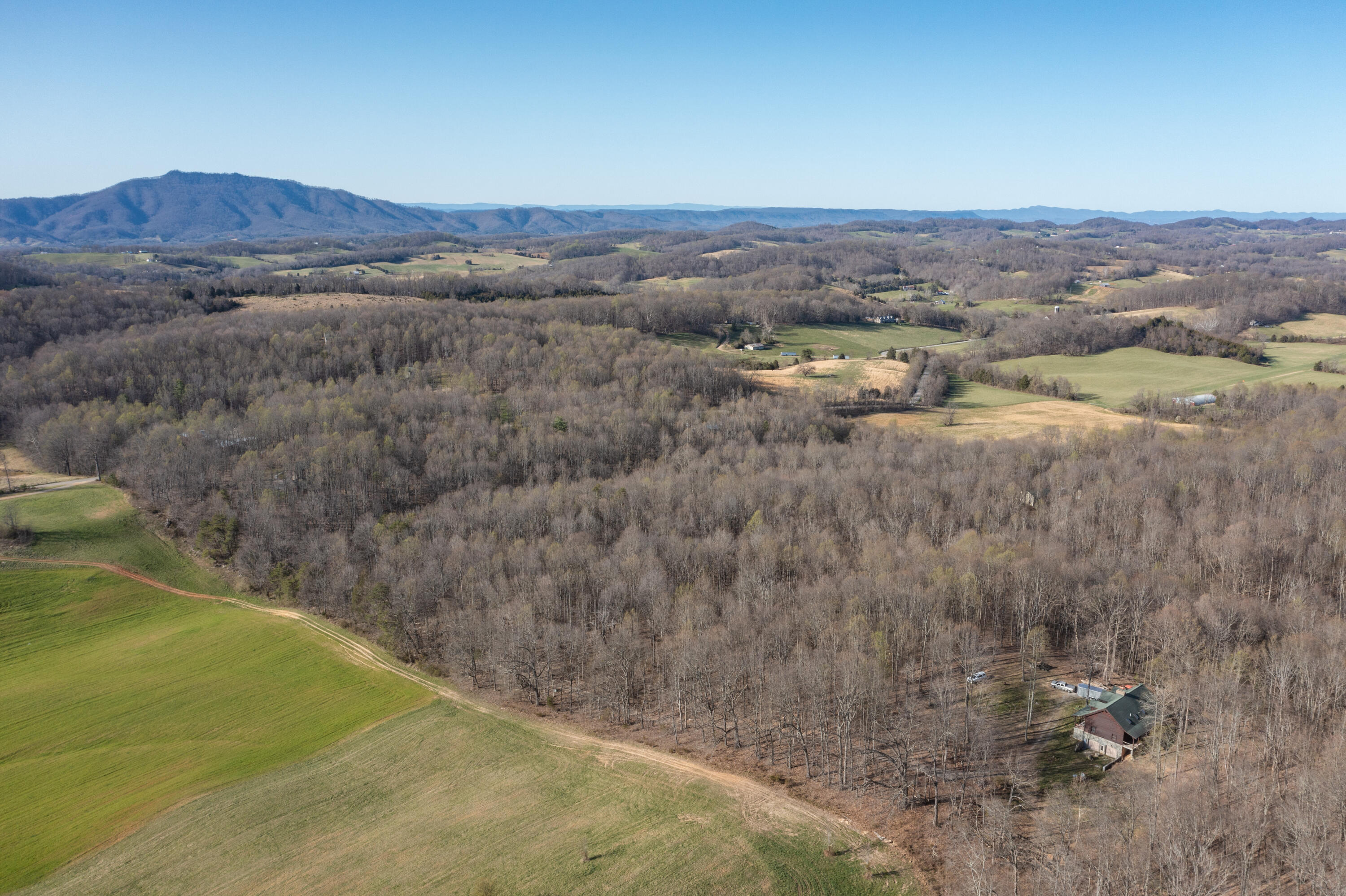 5730 Old Snapps Ferry Road Limestone, TN 37681 - Photo 44 of 49 Limestone-46