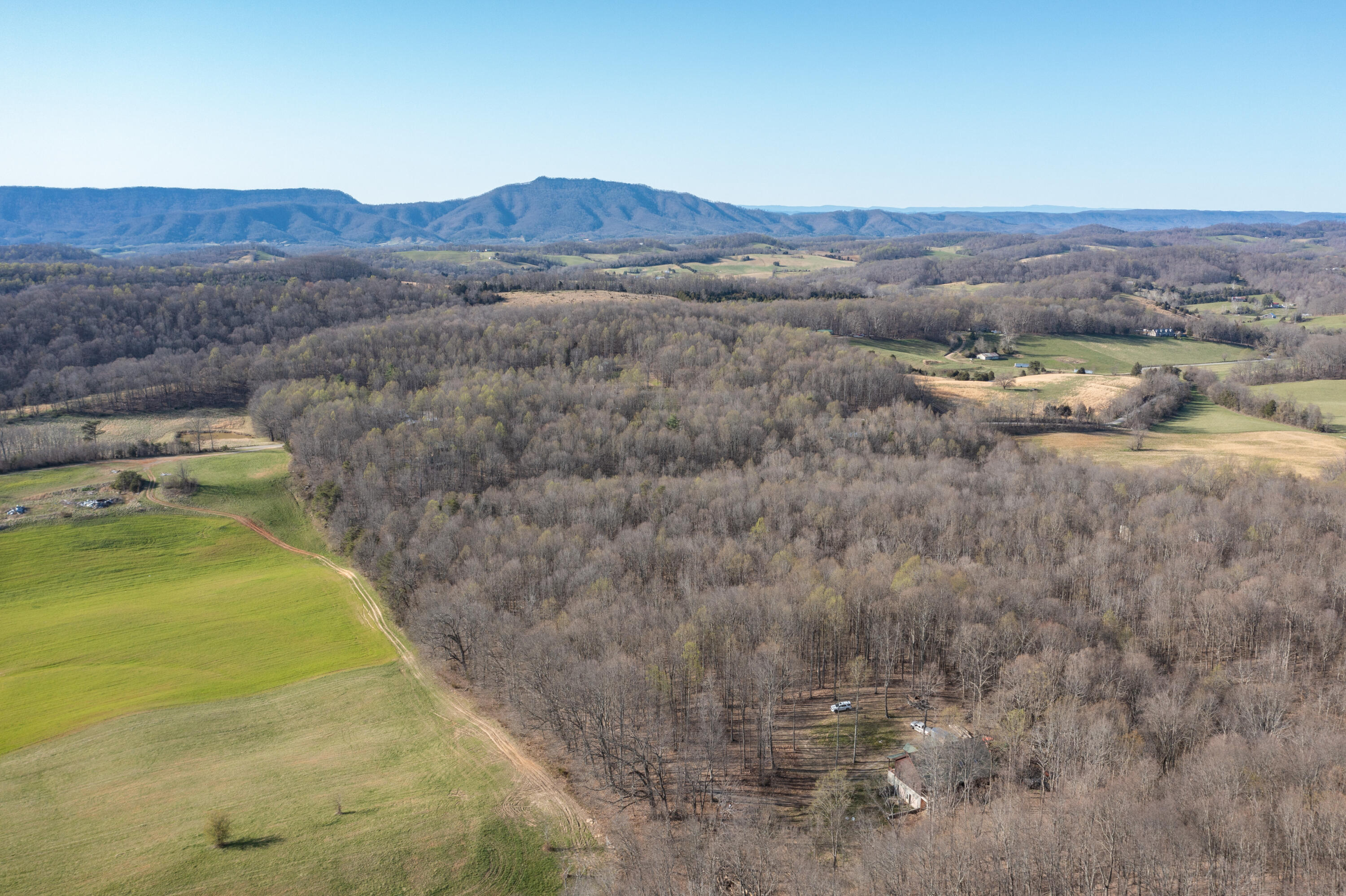 5730 Old Snapps Ferry Road Limestone, TN 37681 - Photo 45 of 49 Limestone-47