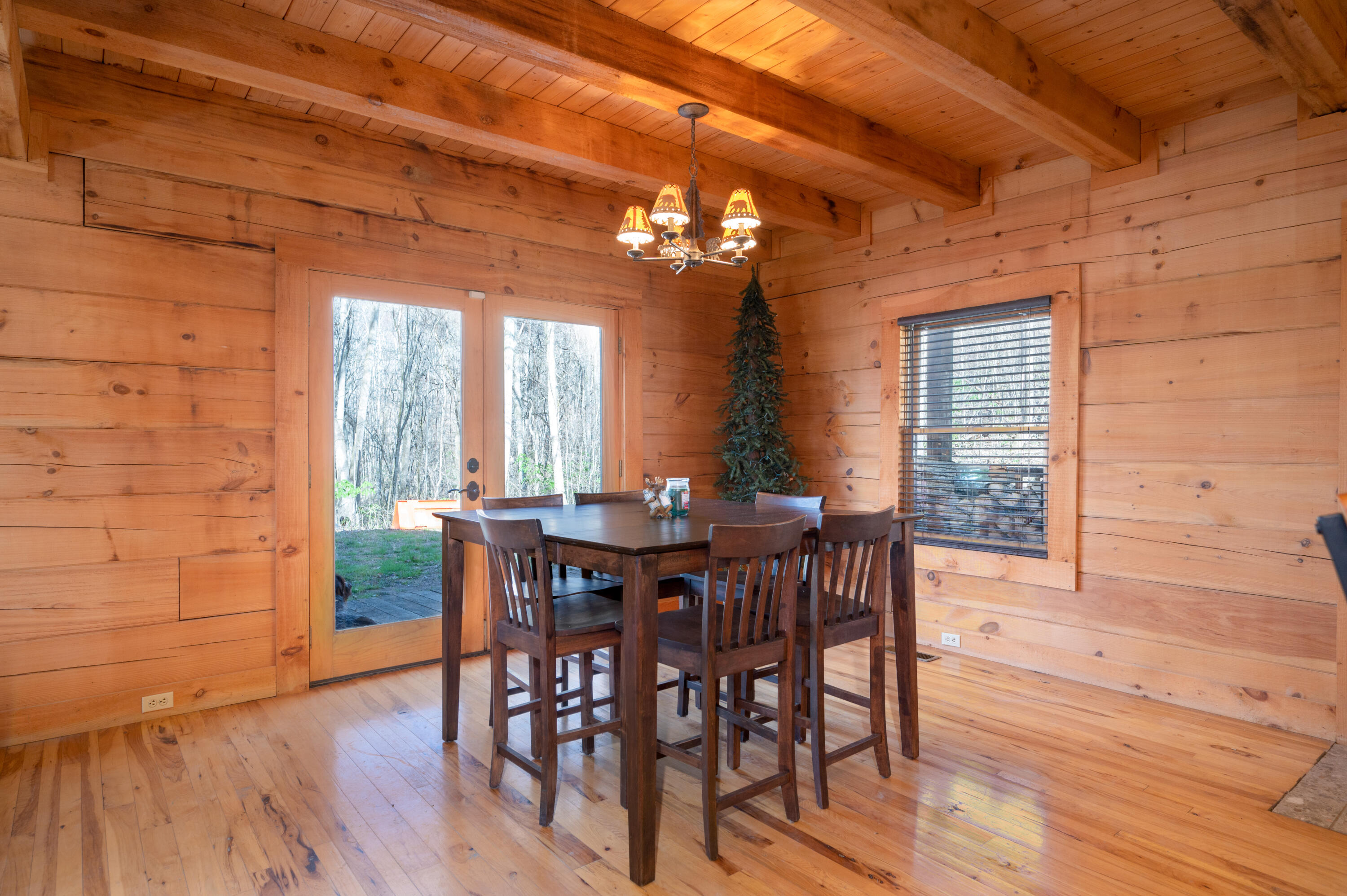 5730 Old Snapps Ferry Road Limestone, TN 37681 - Photo 10 of 49 Limestone-29