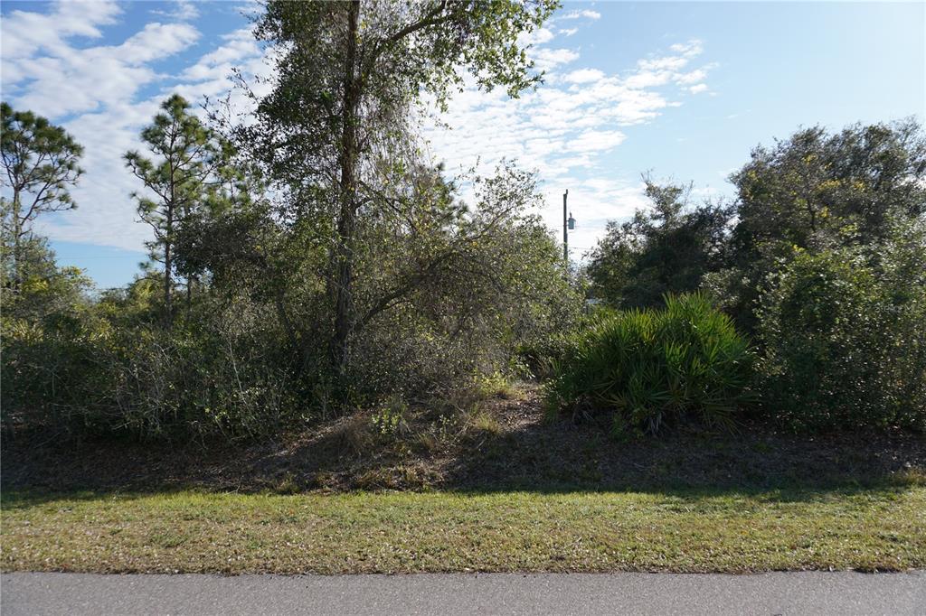 334 Omen Street Punta Gorda, FL 33982 - Photo 11 of 33