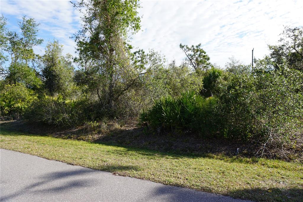 334 Omen Street Punta Gorda, FL 33982 - Photo 3 of 33