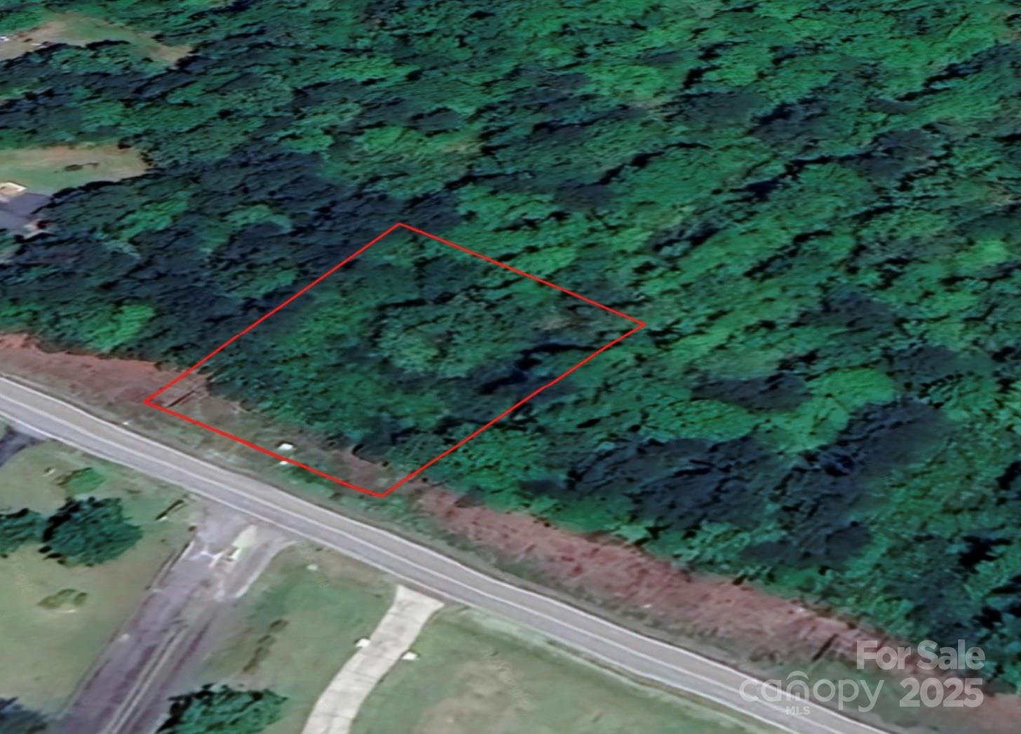 a view of a backyard with plants