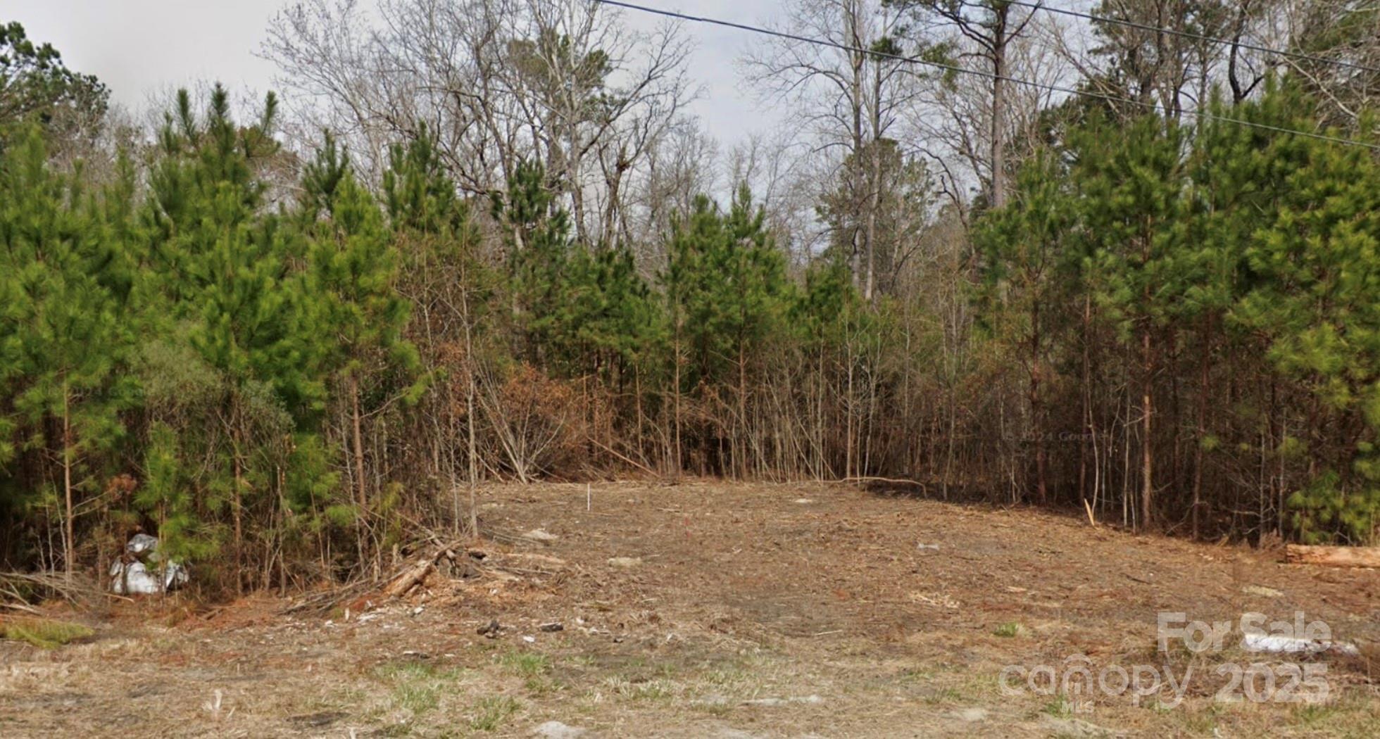 1640 Halltown Road Jacksonville, NC 28546 - Photo 4 of 4 a view of outdoor space and trees
