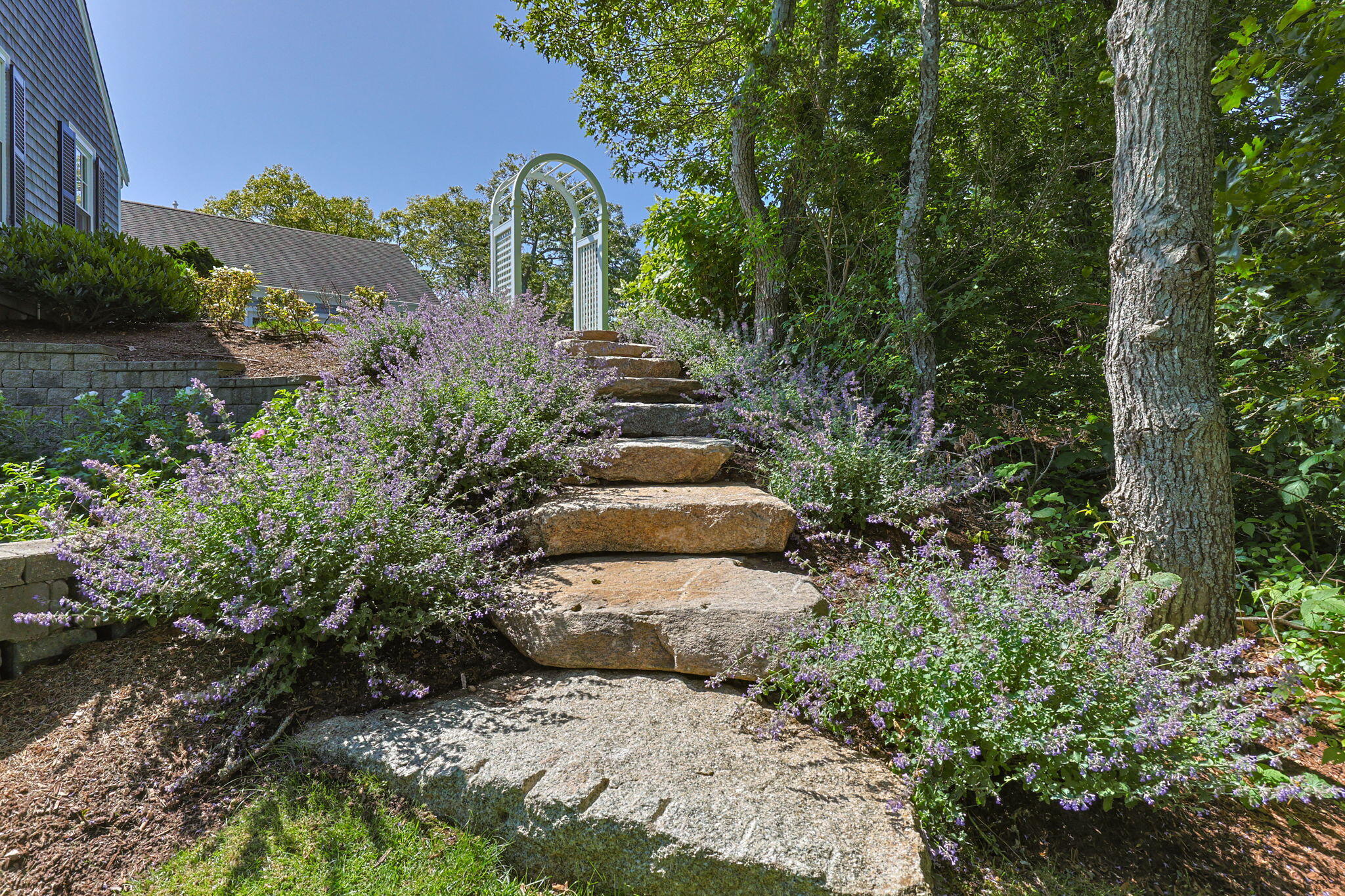 30 Tisquantum Road Chatham, MA 02633 - Photo 50 of 52 69-web-or-mls-30-tisquantum-rd