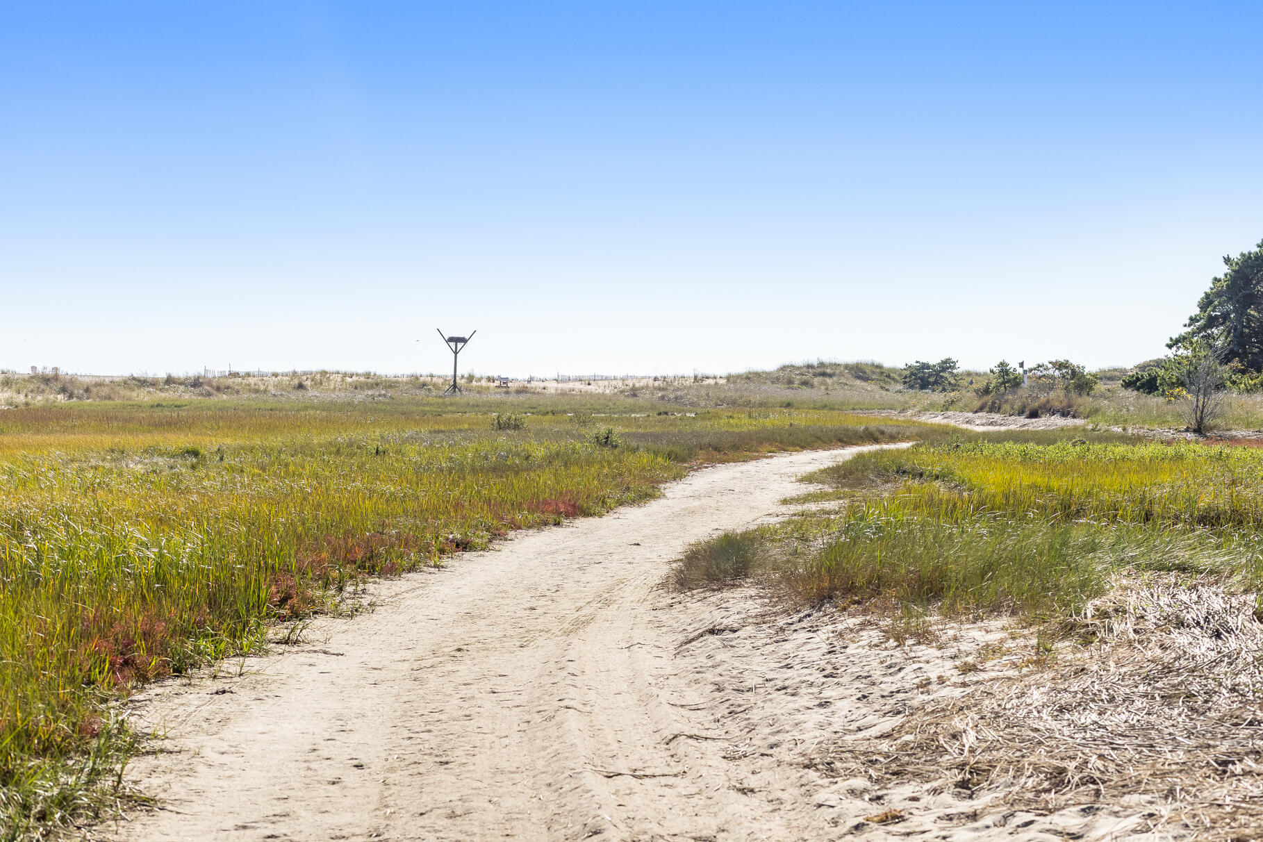 30 Tisquantum Road Chatham, MA 02633 - Photo 52 of 52 9L4A6868