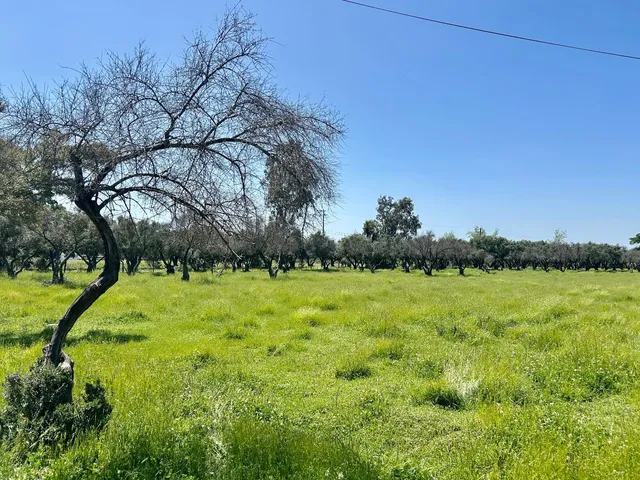 a view of a lake with a house in the background