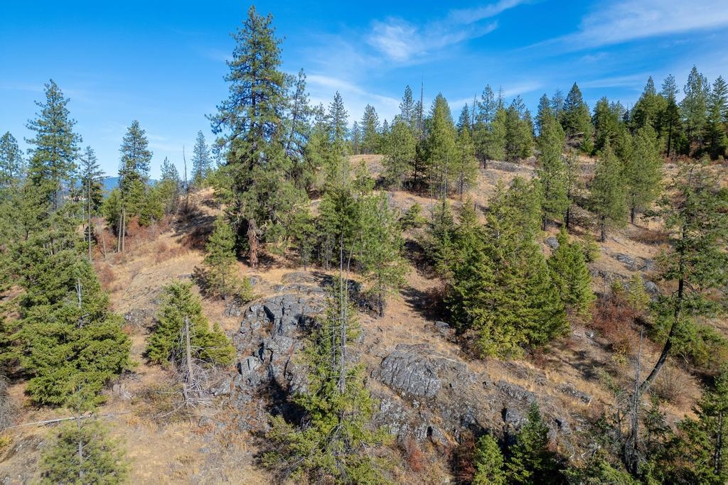 3401 Red Marble Road Valley, WA 99181 - Photo 14 of 49