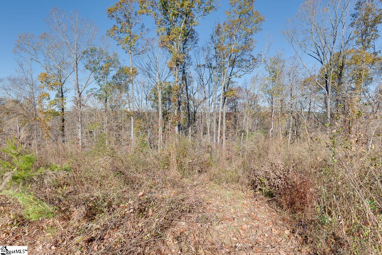 1623 River Oak Road Inman, SC 29349 - Photo 28 of 36