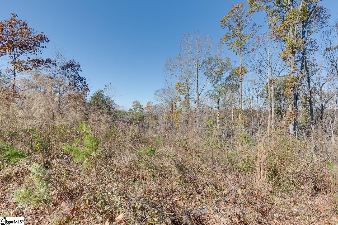 1623 River Oak Road Inman, SC 29349 - Photo 29 of 36