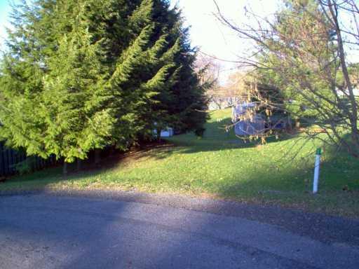 330 Mount Morris Road Mount Morris, PA 15349 - Photo 4 of 6 Yard/Garden.