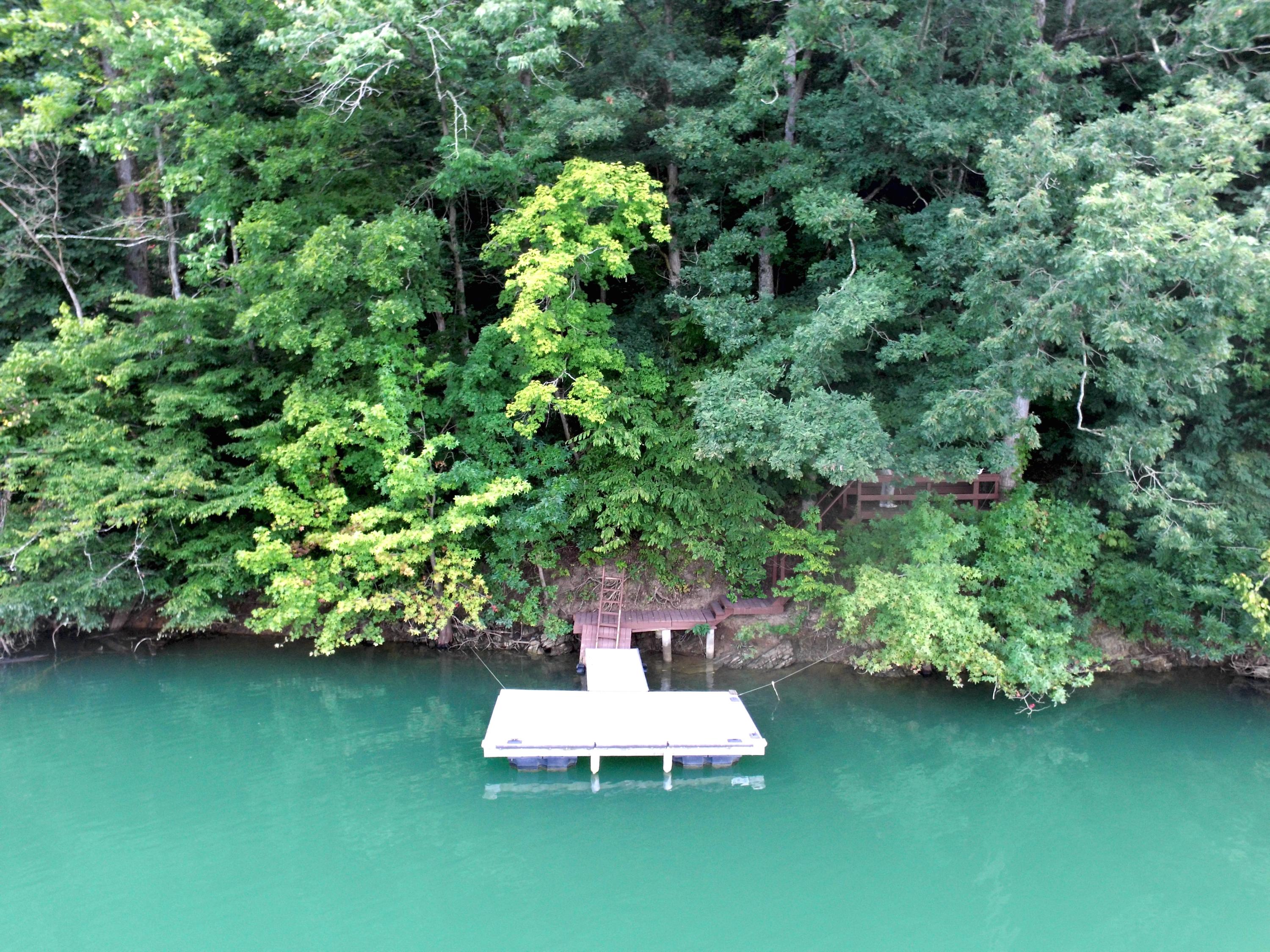 3536 Caywood Road Dandridge, TN 37725 - Photo 27 of 32 DJI_0189