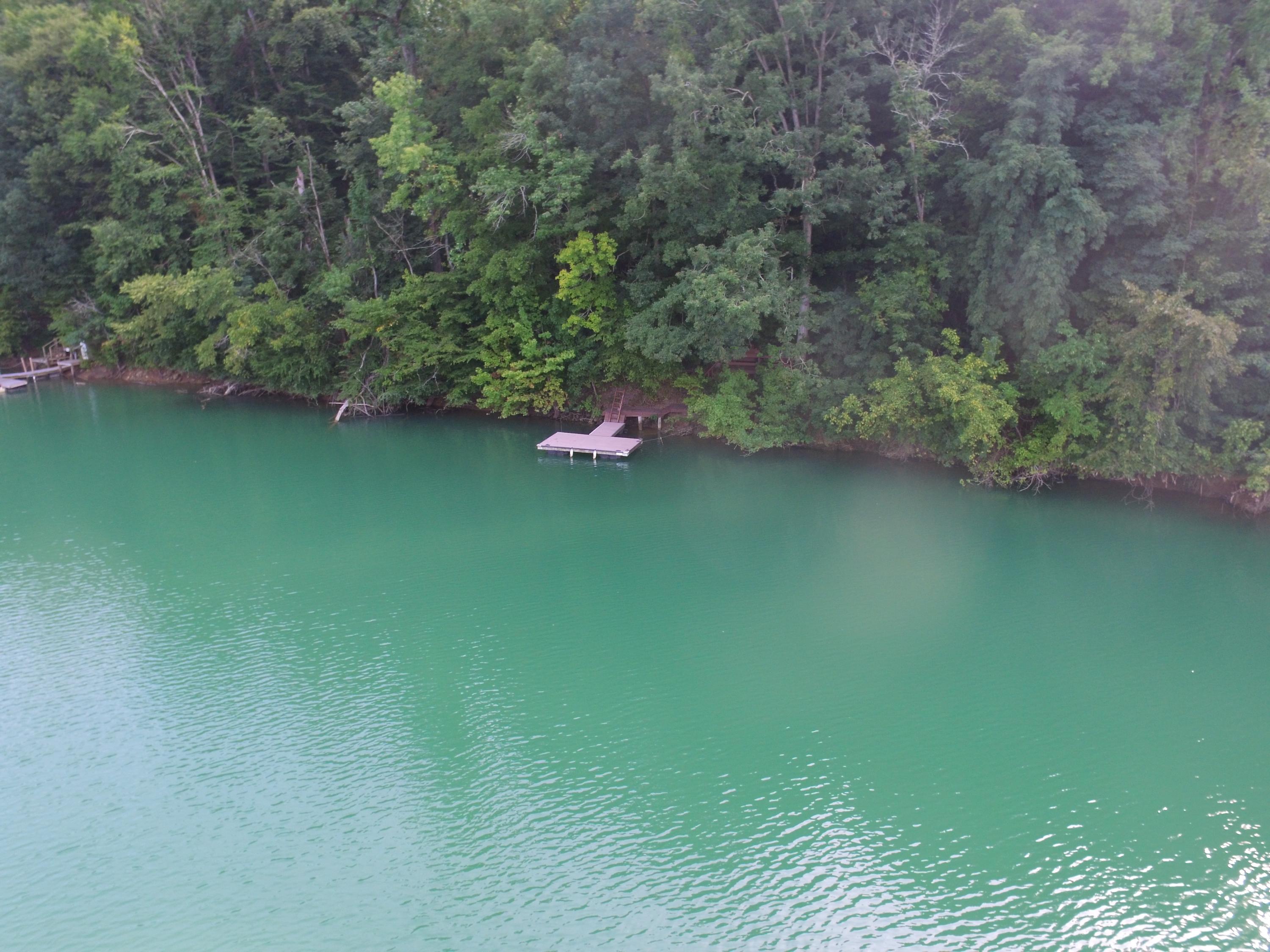 3536 Caywood Road Dandridge, TN 37725 - Photo 29 of 32 DJI_0199