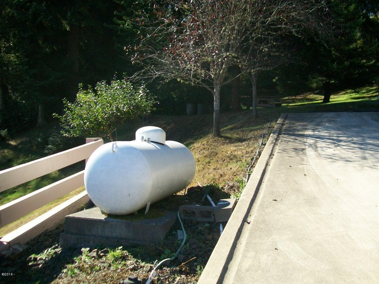1133 Criteser Loop Toledo, OR 97391 - Photo 5 of 41 propane tank
