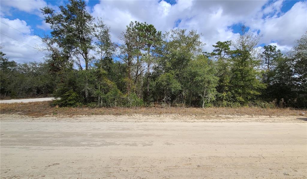 0 Northeast 61 Street Bronson, FL 32621 - Photo 1 of 1 a view of a beach with a tree