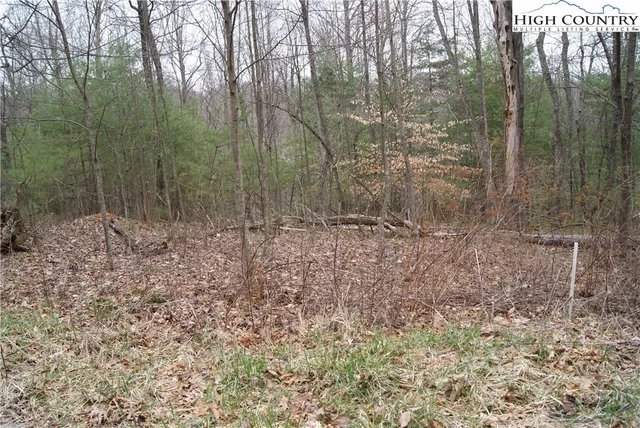 $16,500 | Lot 68 Forest Hill Drive, Sparta, NC 28675