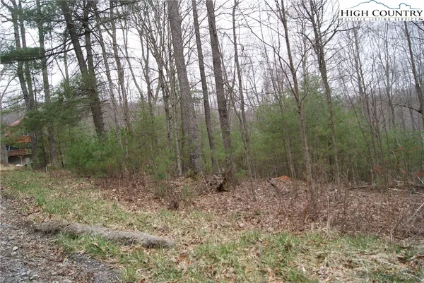 $16,500 | Lot 68 Forest Hill Drive, Sparta, NC 28675