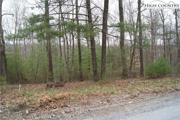 $16,500 | Lot 68 Forest Hill Drive, Sparta, NC 28675
