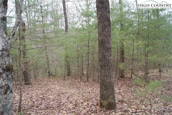 $16,500 | Lot 68 Forest Hill Drive, Sparta, NC 28675