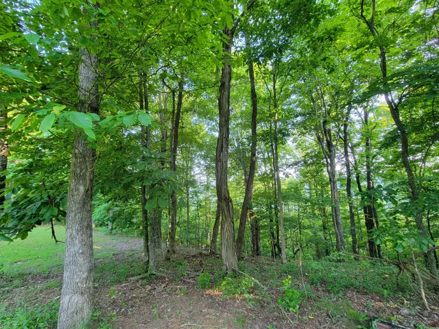 $110,000 | 690 Preservation Drive, Unit 34, South Pittsburg, TN 37380