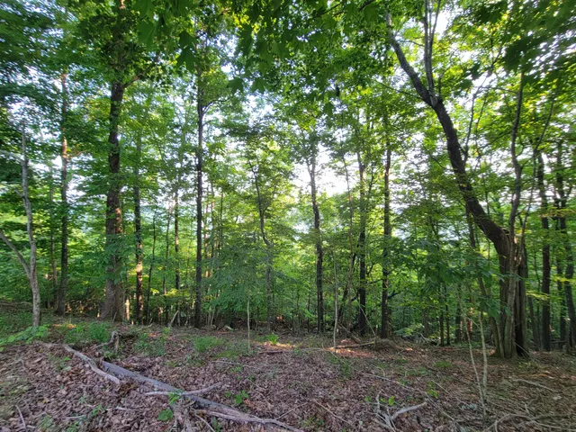 $110,000 | 690 Preservation Drive, Unit 34, South Pittsburg, TN 37380