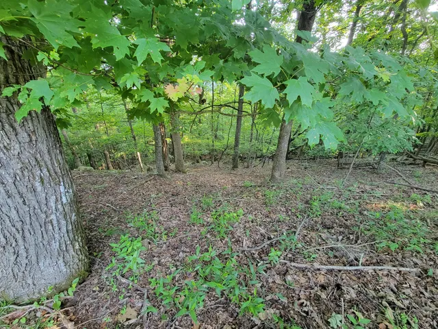 $110,000 | 690 Preservation Drive, Unit 34, South Pittsburg, TN 37380