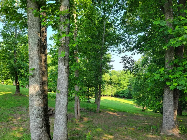 $110,000 | 690 Preservation Drive, Unit 34, South Pittsburg, TN 37380