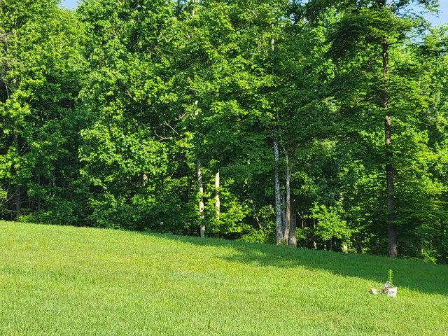 $110,000 | 690 Preservation Drive, Unit 34, South Pittsburg, TN 37380