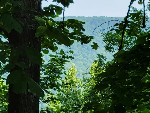 $110,000 | 690 Preservation Drive, Unit 34, South Pittsburg, TN 37380