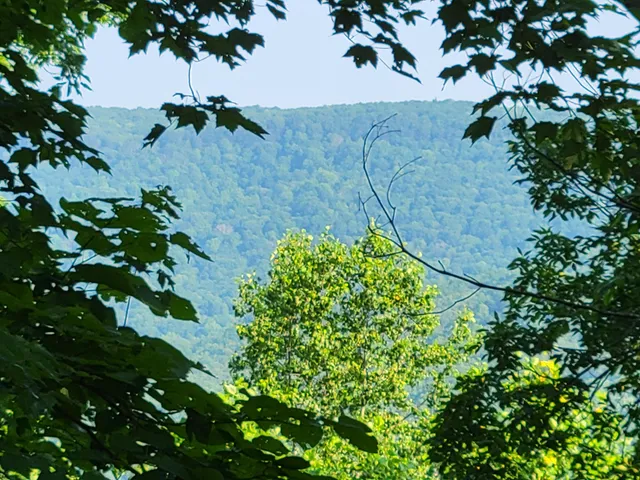 $110,000 | 690 Preservation Drive, Unit 34, South Pittsburg, TN 37380