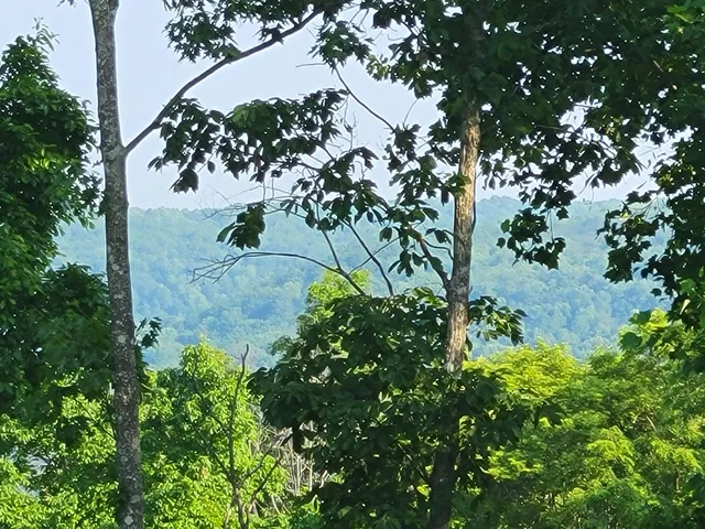 $110,000 | 690 Preservation Drive, Unit 34, South Pittsburg, TN 37380