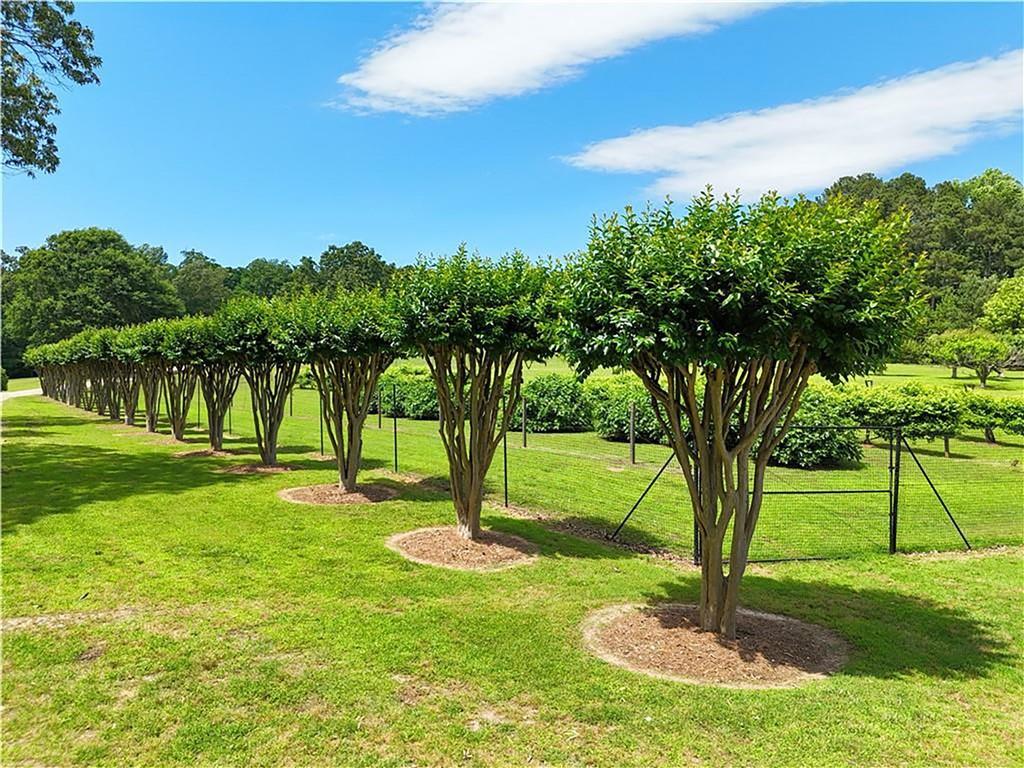 1103 Apple Pie Ridge Road Alto, GA 30510 - Photo 129 of 139