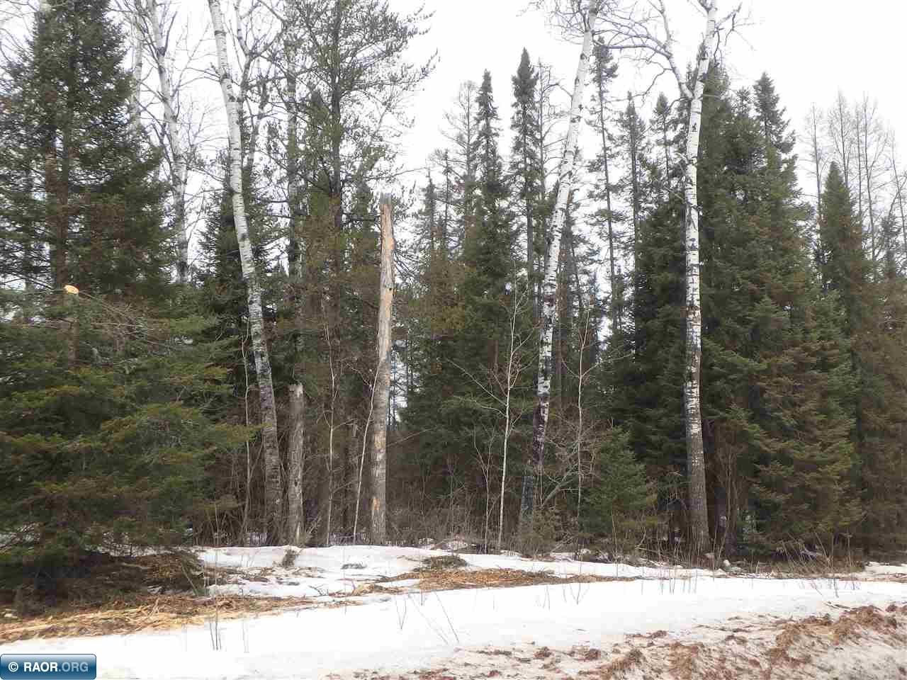 7127 Dallas Road Embarrass, MN 55732 - Photo 7 of 10