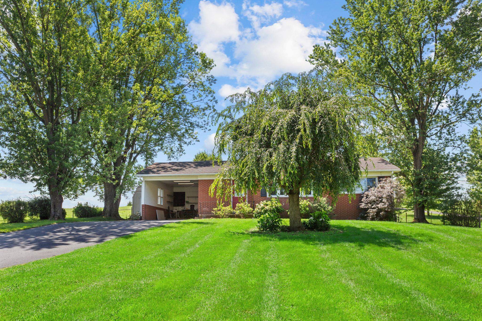 5381 Brocks Gap Road Broadway, VA 22815 - Photo 18 of 24 Great Shade & Mature Trees