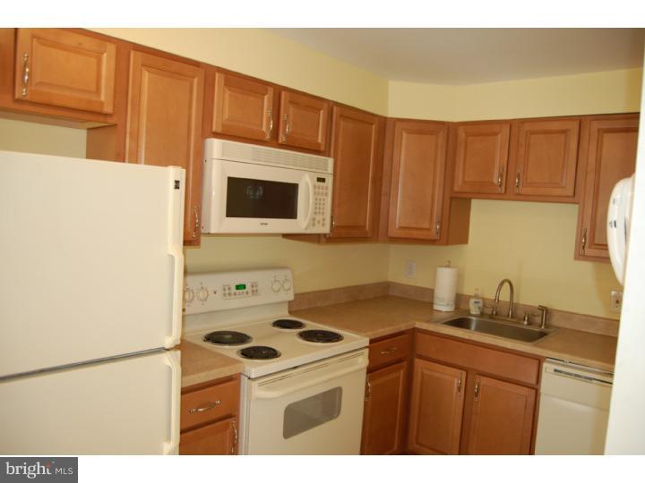 1002 Windsor Road Collingdale, PA 19023 - Photo 11 of 23 Kitchen